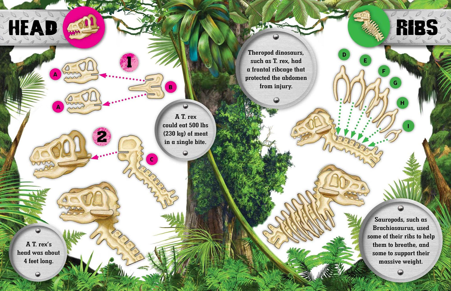 Make Your Own Dinosaur