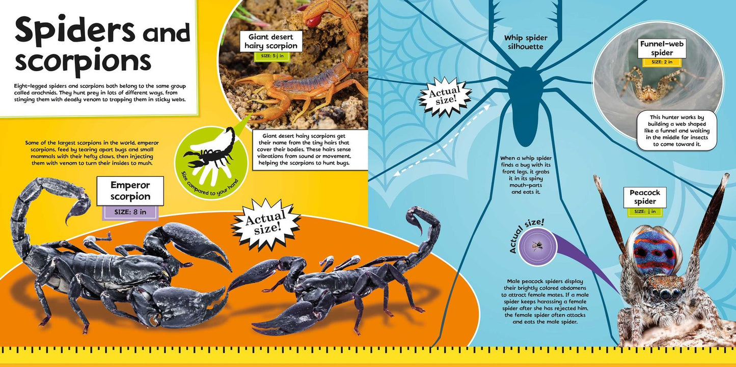 Bugs