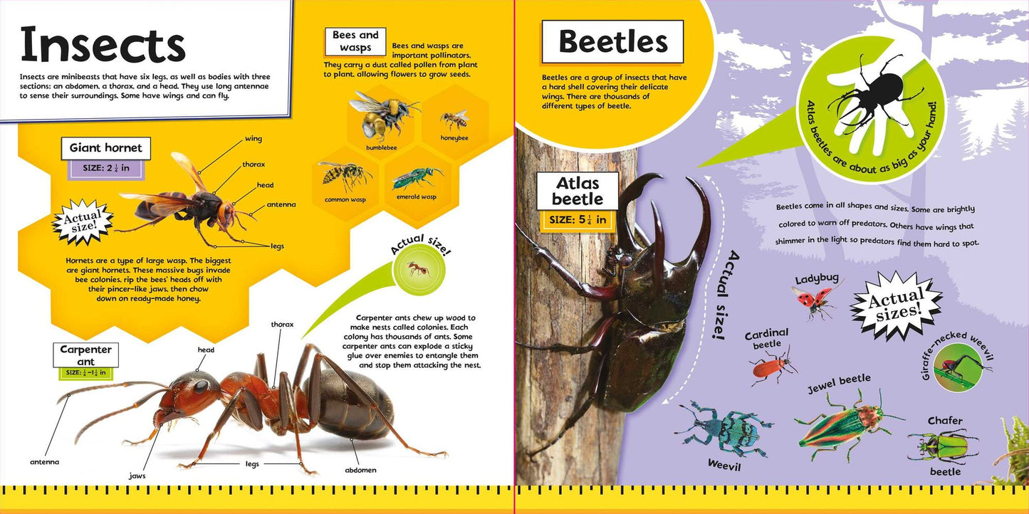 Bugs