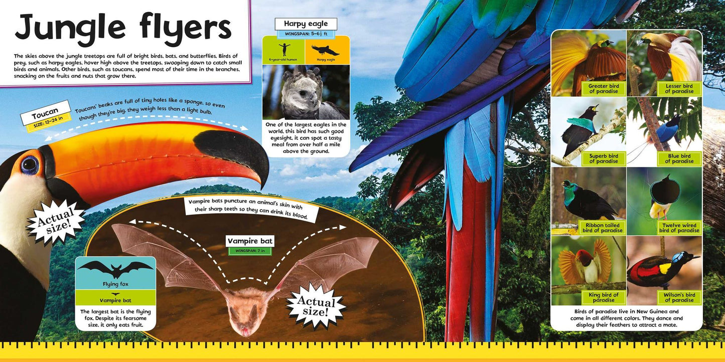 Jungle Animals