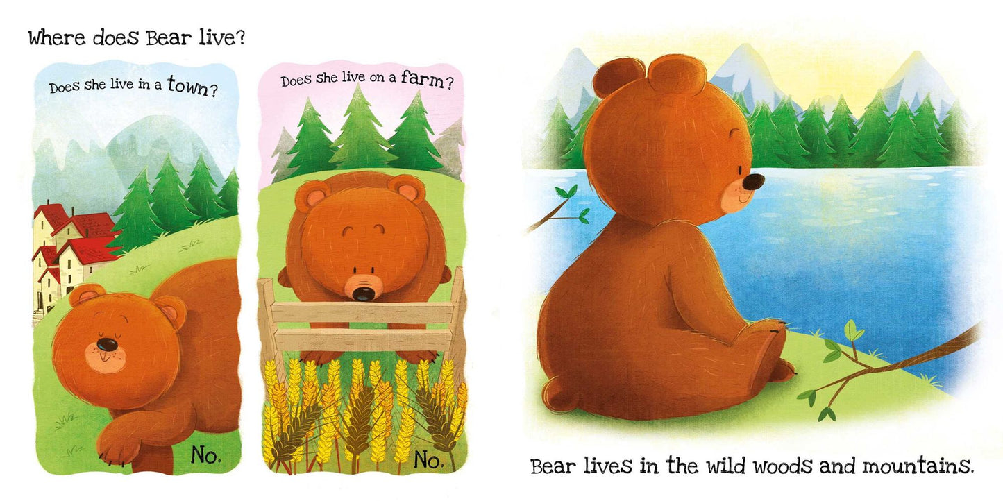 What Does Bear Like (Touch & Feel)