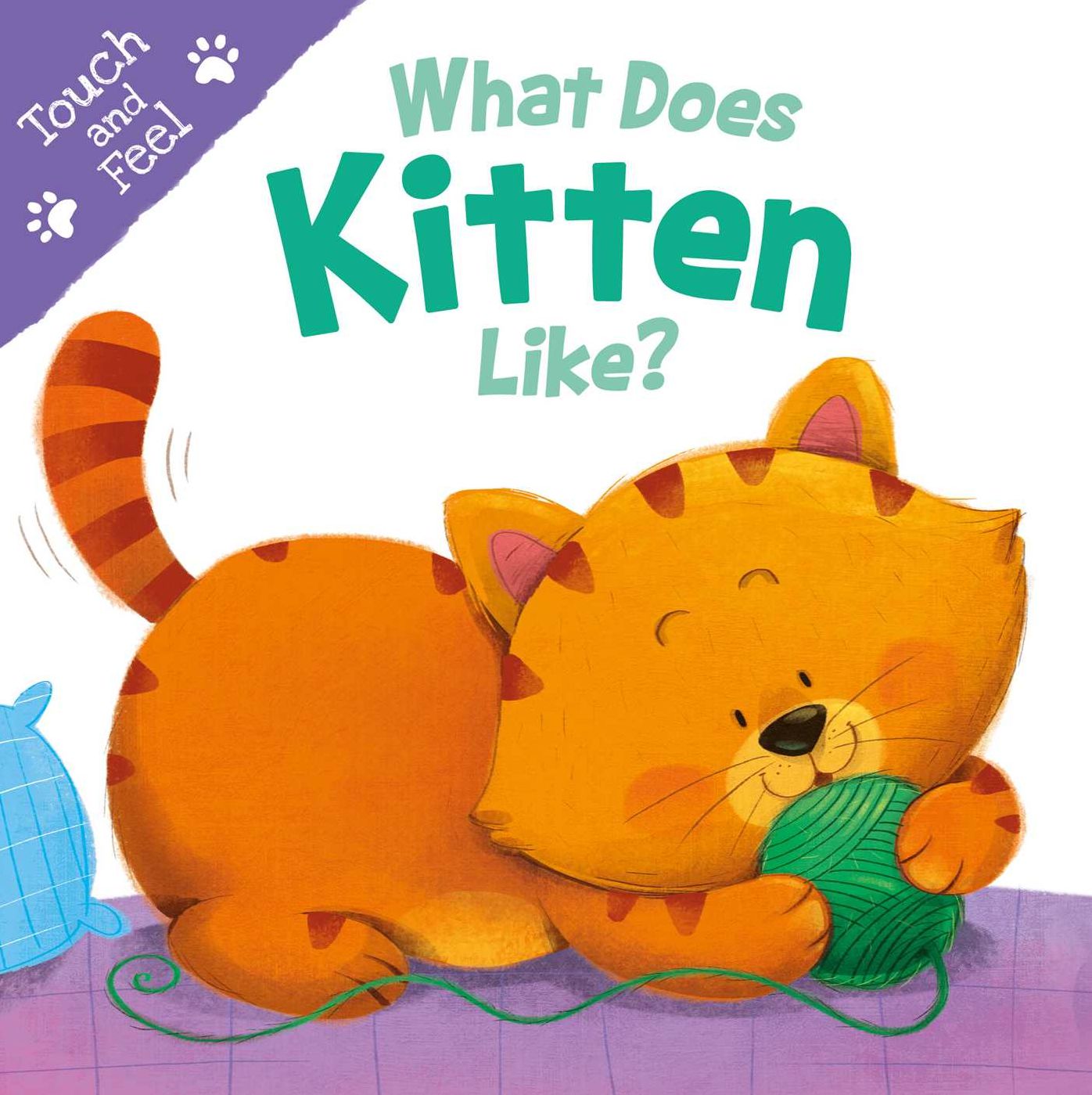What Does Kitten Like?: Touch & Feel Board Book