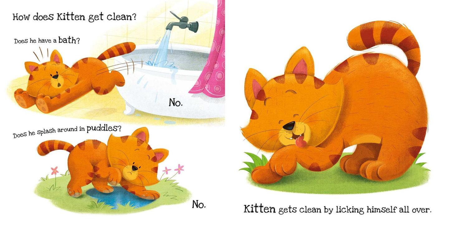 What Does Kitten Like?: Touch & Feel Board Book