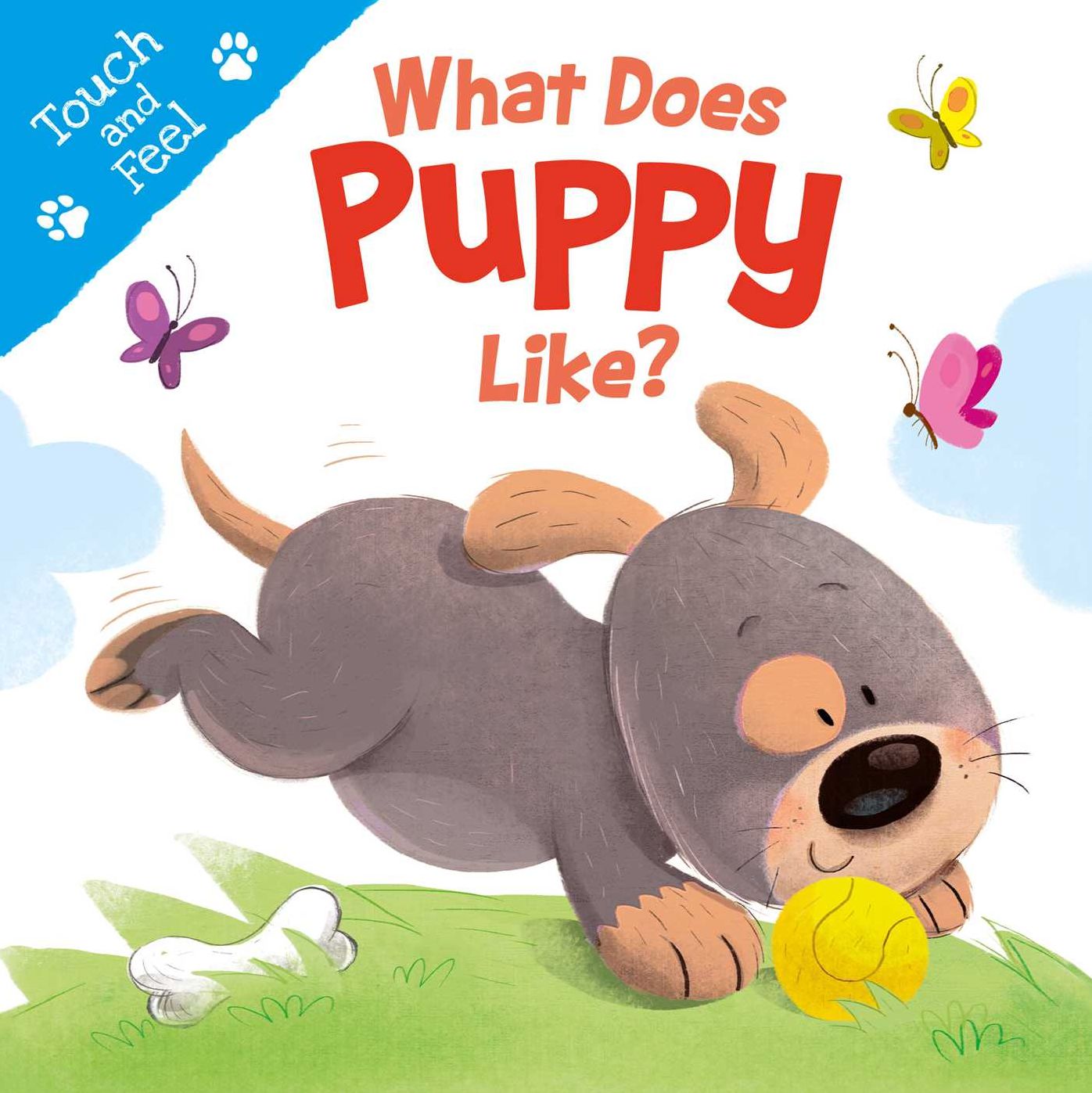 What Does Puppy Like?: Touch & Feel Board Book