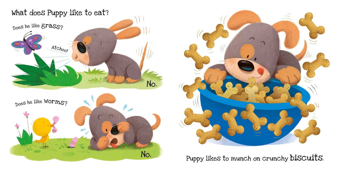 What Does Puppy Like?: Touch & Feel Board Book