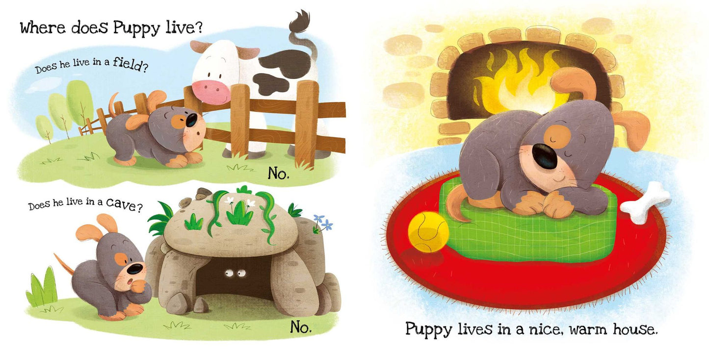 What Does Puppy Like?: Touch & Feel Board Book