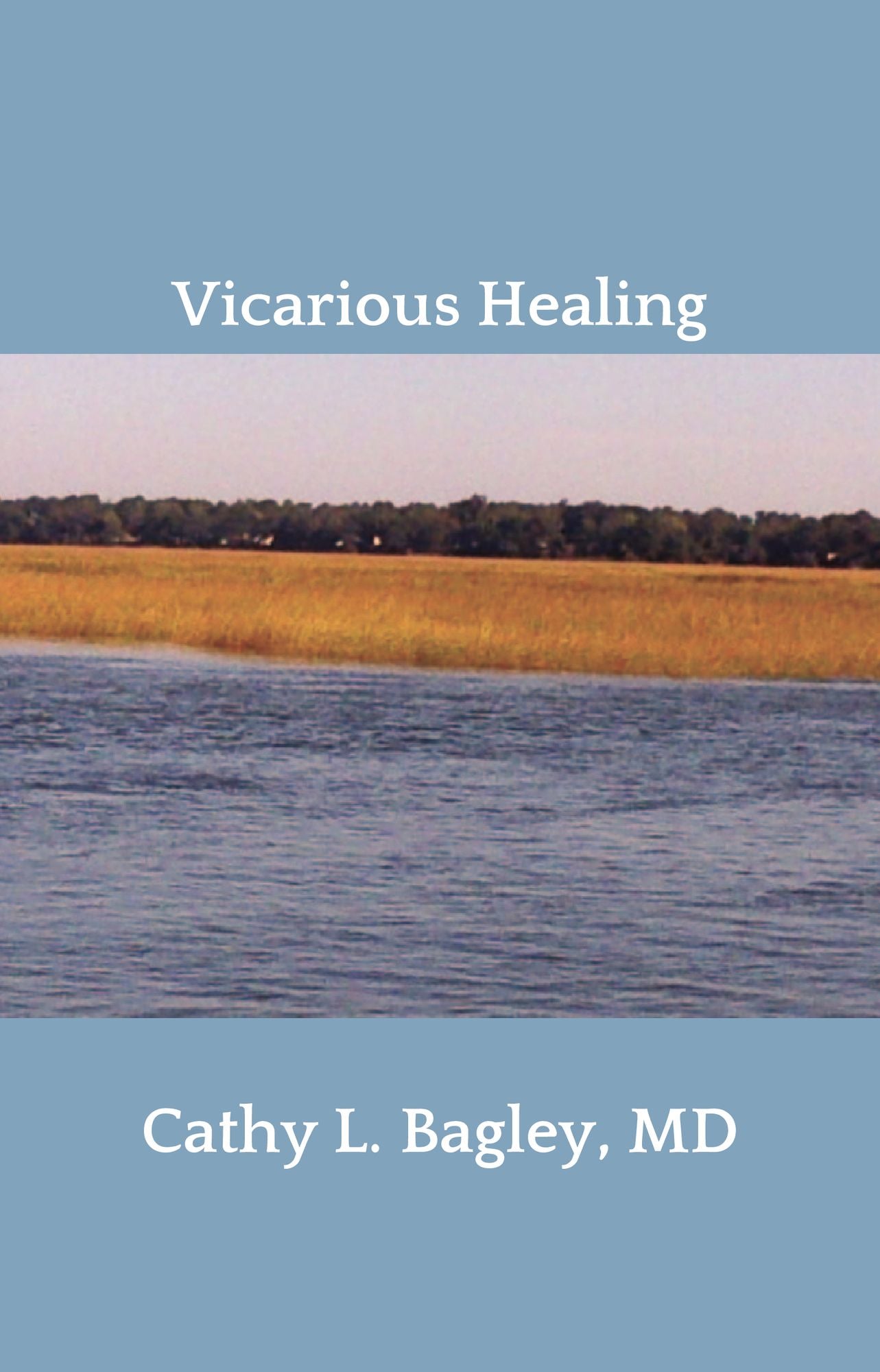 Vicarious Healing