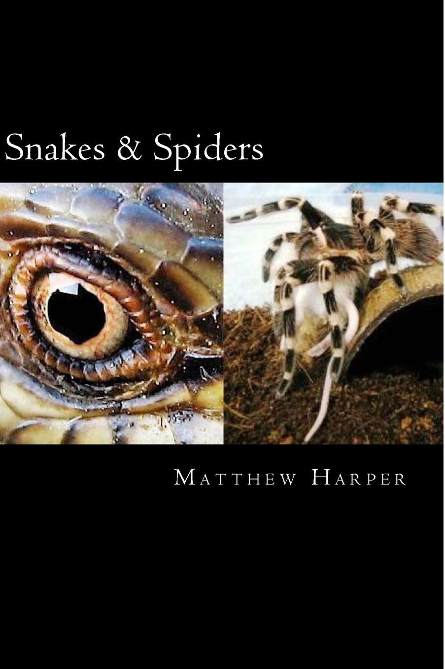 Snakes & Spiders: Two Fascinating Books Combined Together Containing Facts, Trivia, Images & Memory Recall Quiz: Suitable for Adults & Children