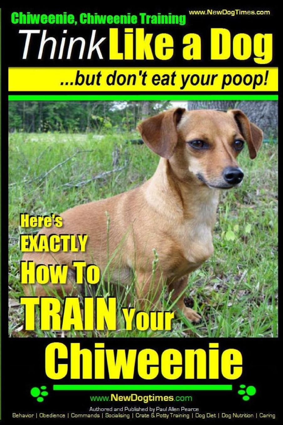 Chiweenie, Chiweenie Training AAA AKC Think Like a Dog...but Don't Eat Your Poop!: Chiweenie Breed Expert Dog Training - Here's EXACTLY How To Train Your Chiweenie