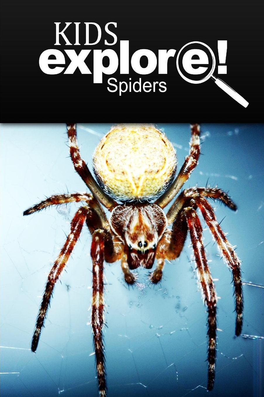 Spiders - Kids Explore: Animal books nonfiction - books ages 5-6