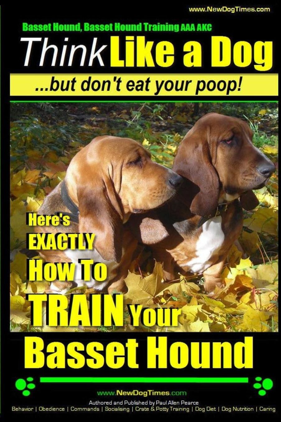 Basset Hound, Basset Hound Training AAA AKC: Think Like a Dog, But Don't Eat Your Poop! Basset Hound Breed Expert Training: Here's EXACTLY How To TRAIN Your Basset Hound