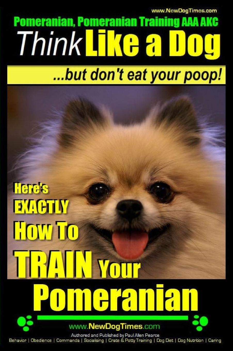 Pomeranian, Pomeranian Training AAA AKC: Think Like a Dog, but Don't Eat Your Poop! Pomeranian Breed Expert Training : Here's EXACTLY How to Train Your Pomeranian