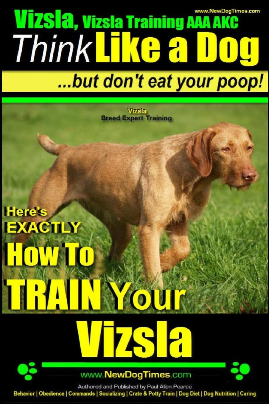 Vizsla, Vizsla Training AAA AKC: Think Like a Dog, but Don't Eat Your Poop! Vizsla Breed Expert Training : Here's EXACTLY How to Train Your Vizsla