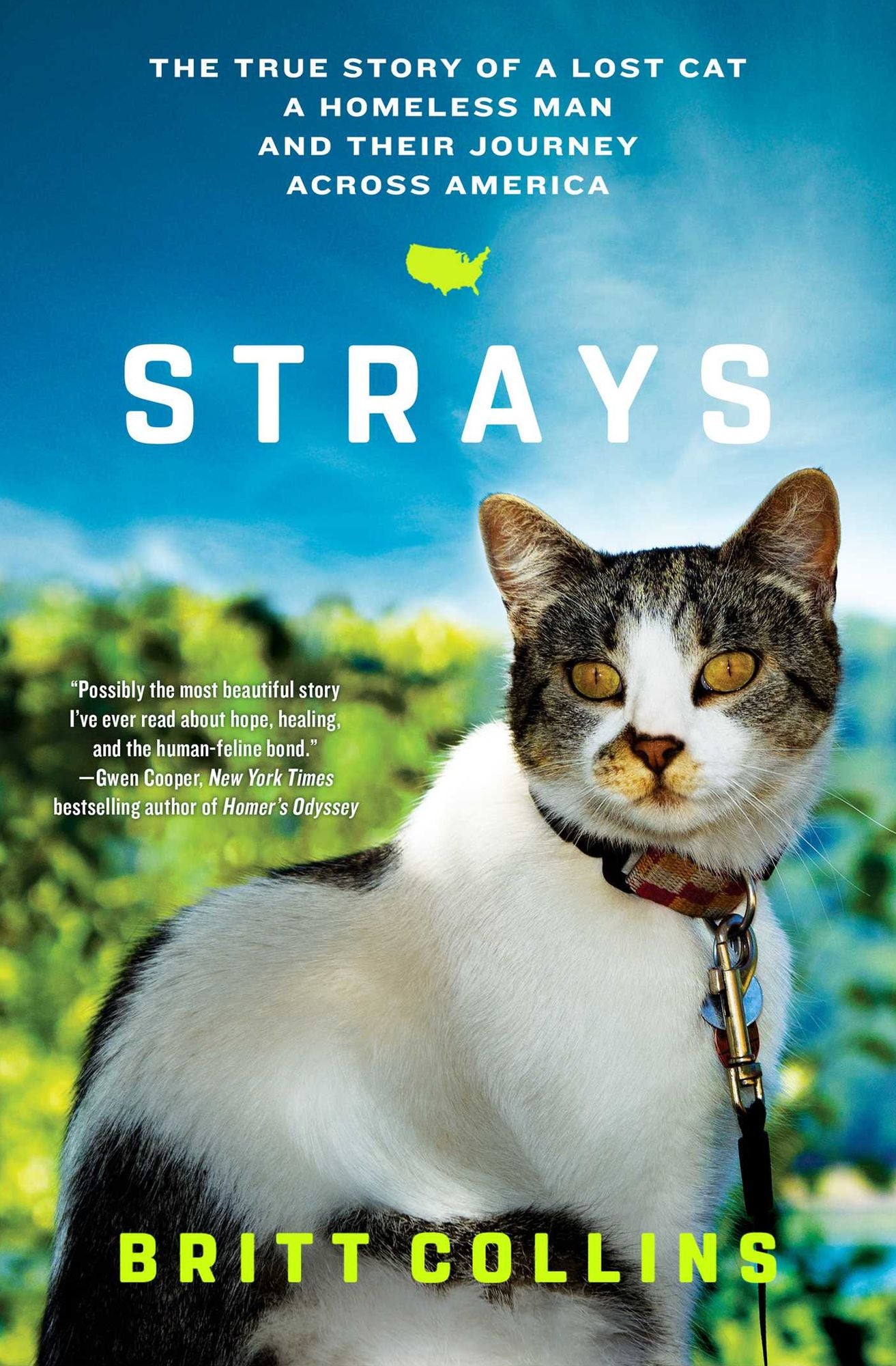 Strays: A Lost Cat, a Homeless Man, and Their Journey Across America