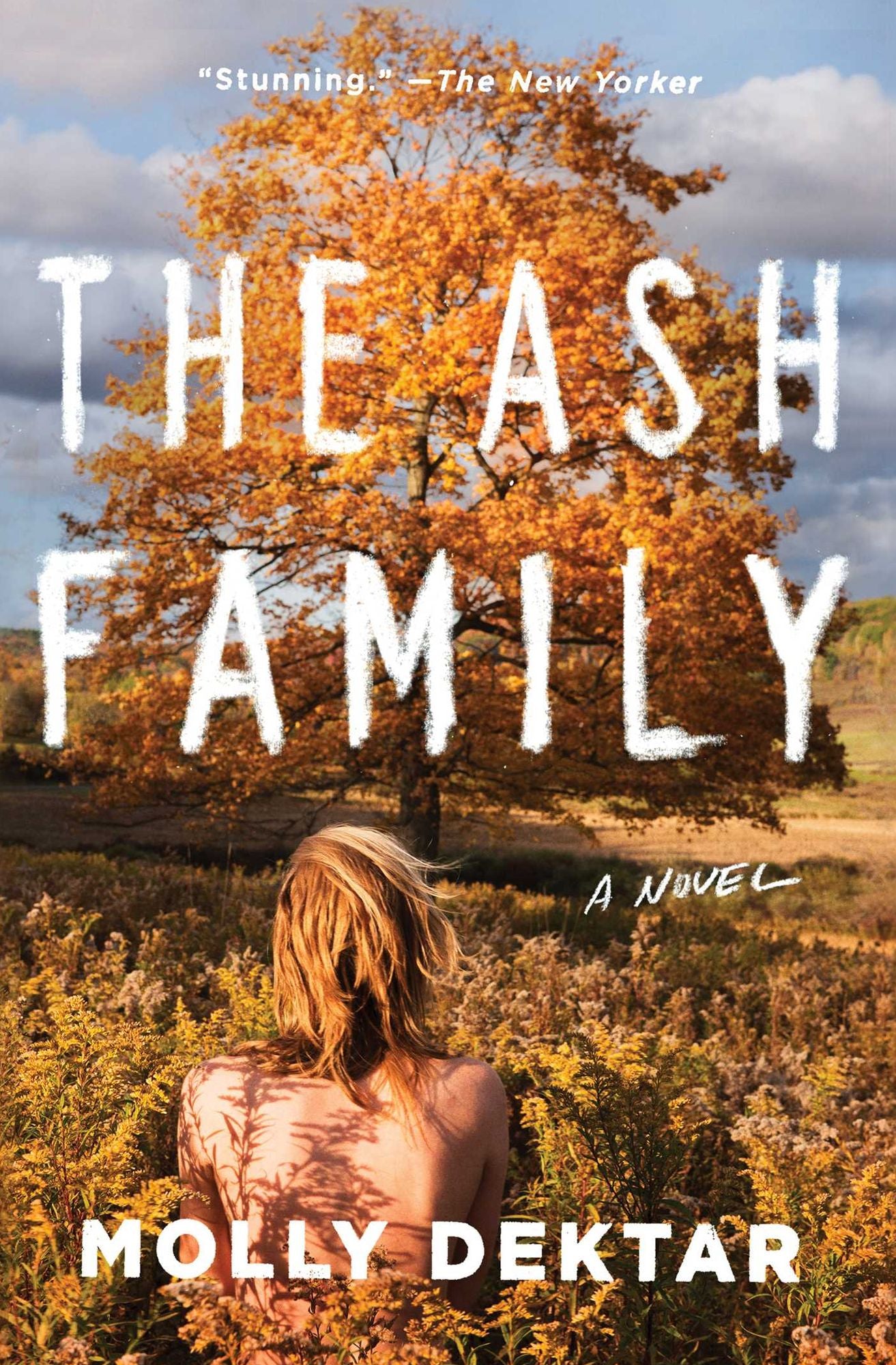 The Ash Family: A Novel