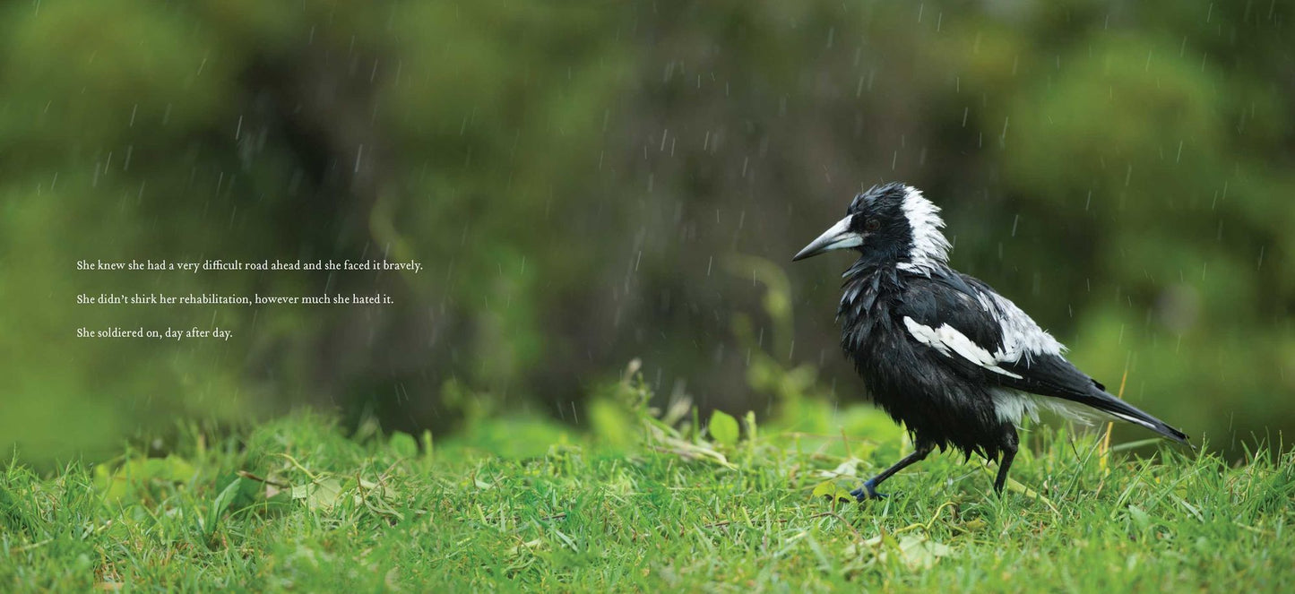 Penguin the Magpie: The Odd Little Bird Who Saved a Family