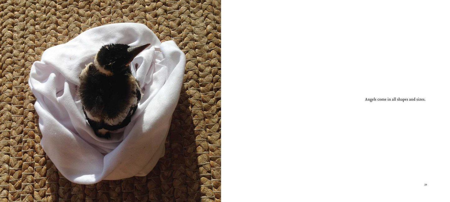 Penguin the Magpie: The Odd Little Bird Who Saved a Family