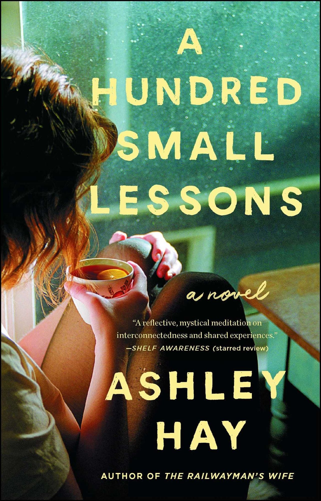 A Hundred Small Lessons: A Novel