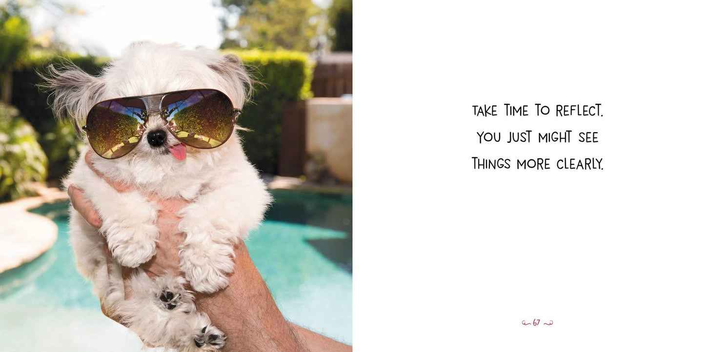 Norbert's Little Lessons for a Big Life