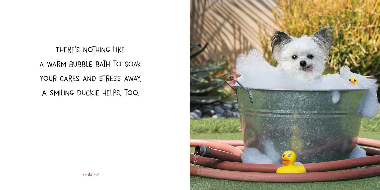 Norbert's Little Lessons for a Big Life
