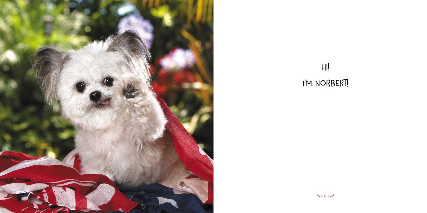 Norbert's Little Lessons for a Big Life