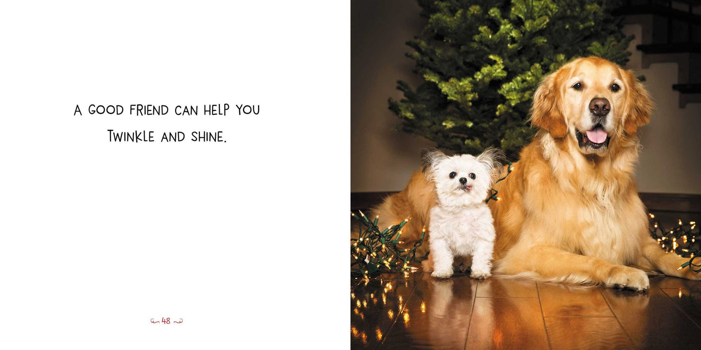 Norbert's Little Lessons for a Big Life