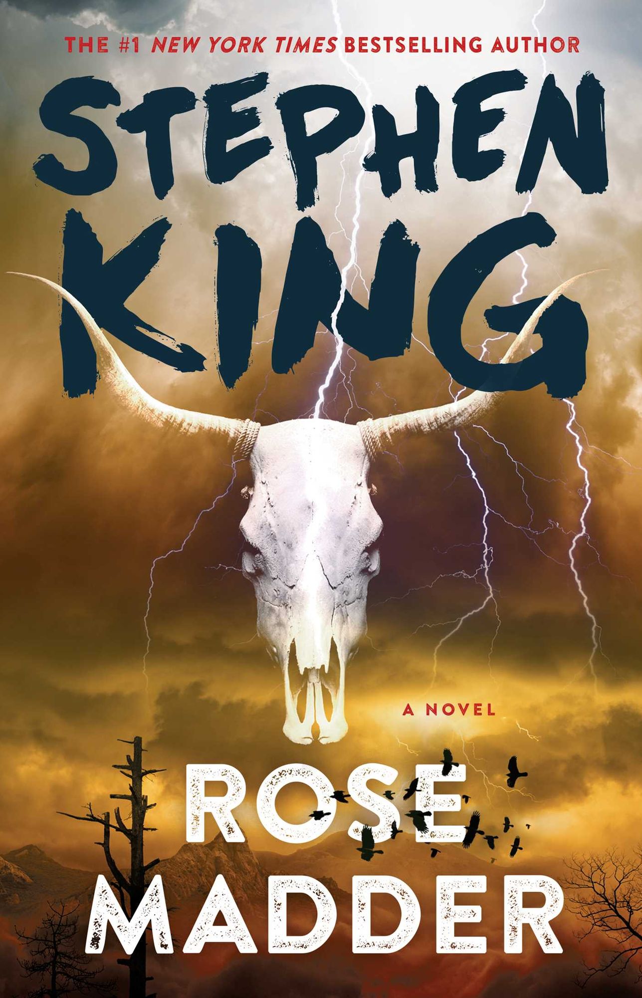 Rose Madder: A Novel