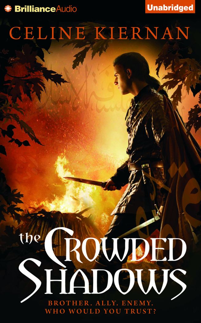 The Crowded Shadows