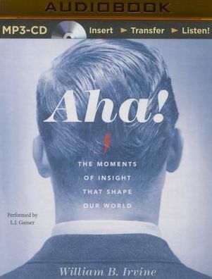 Aha!: The Moments of Insight That Shape Our World