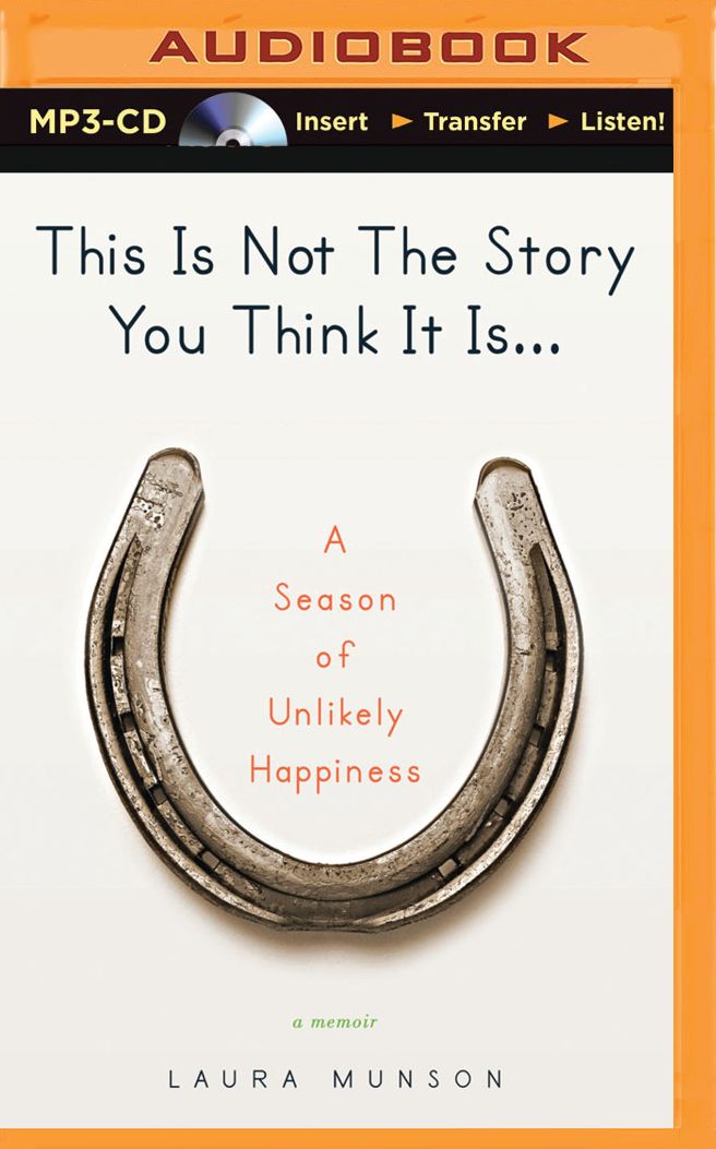 This Is Not The Story You Think It Is...: A Season of Unlikely Happiness