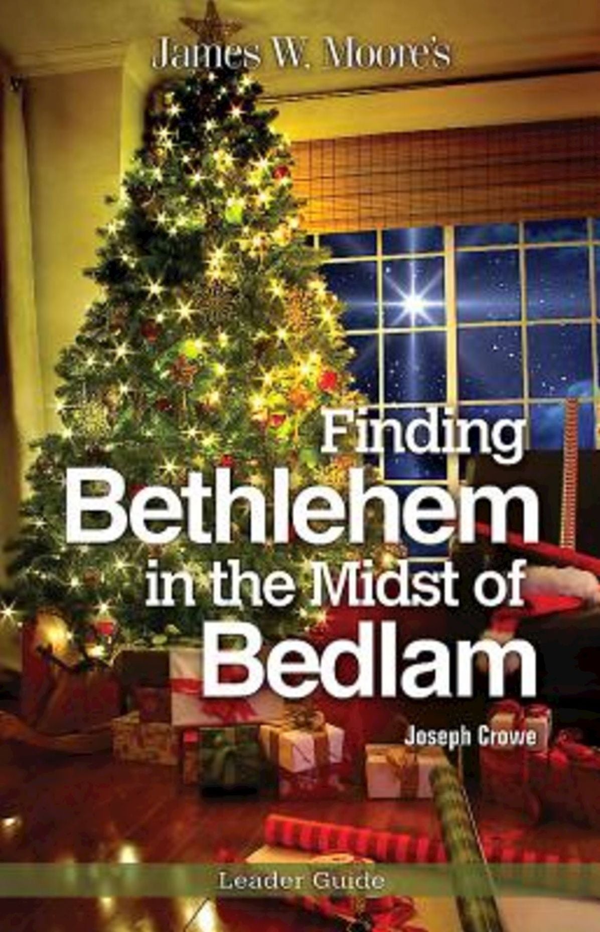 Finding Bethlehem in the Midst of Bedlam Leader Guide: An Advent Study