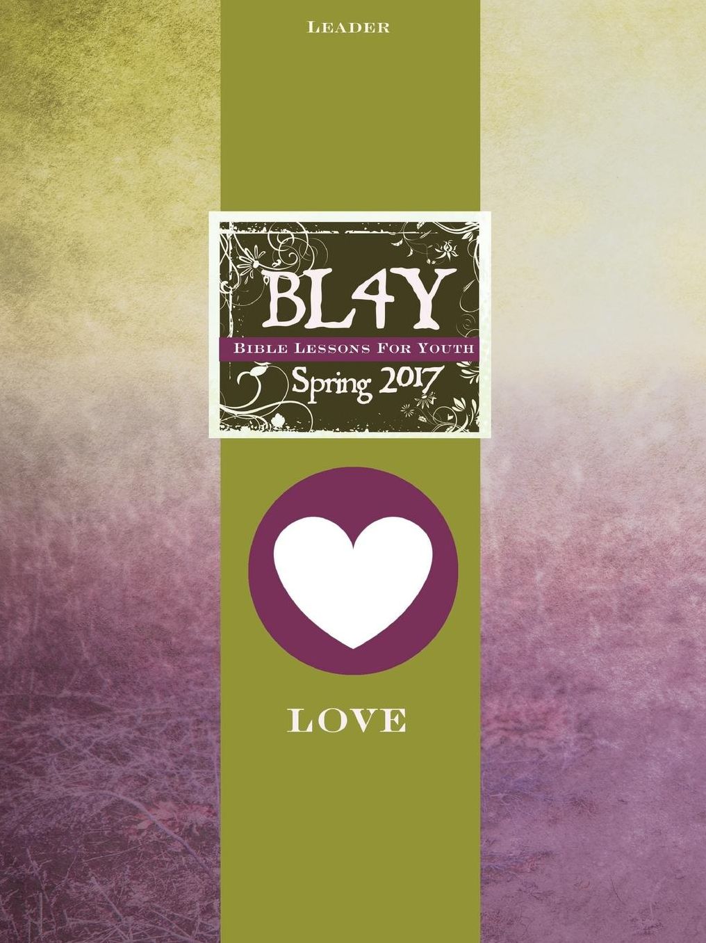 BIBLE LESSONS YOUTH LEADER - SPRING 2017 QUARTER