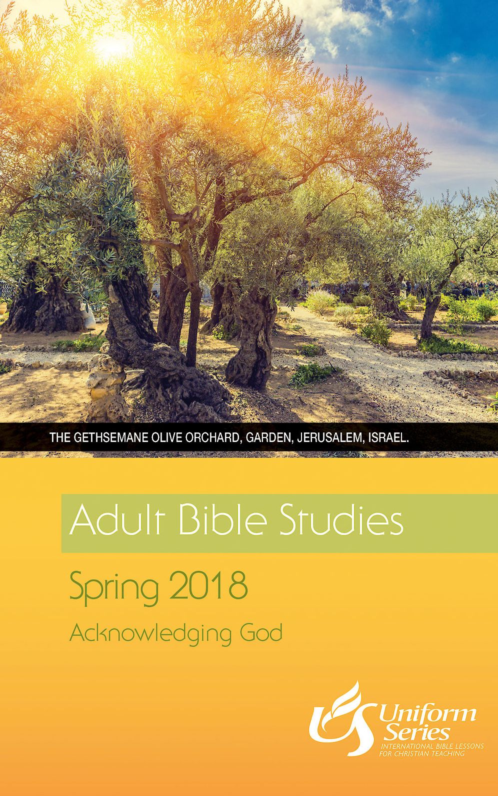 Adult Bible Studies Spring 2018 Student [Large Print]