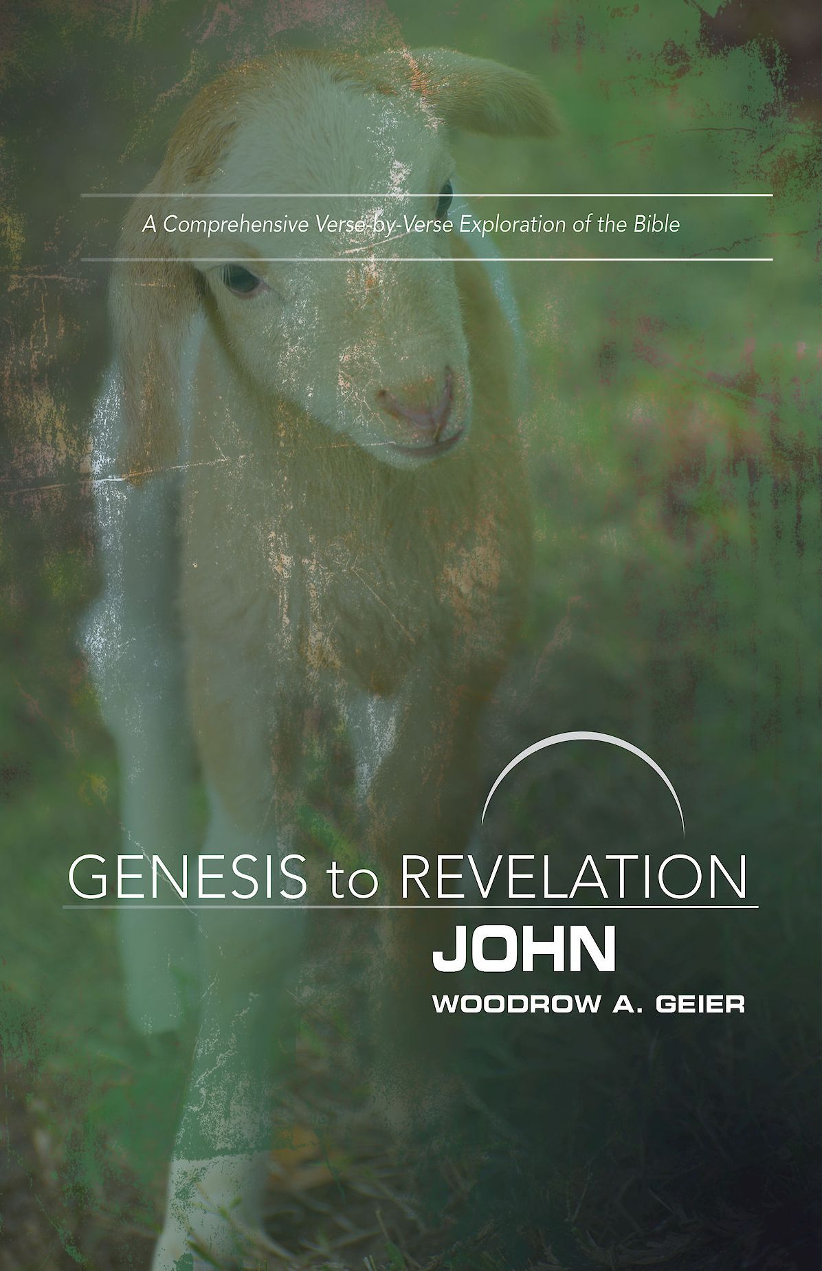 Genesis to Revelation: John Participant Book [Large Print]: A Comprehensive Verse-by-Verse Exploration of the Bible
