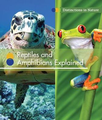 Reptiles and Amphibians Explained