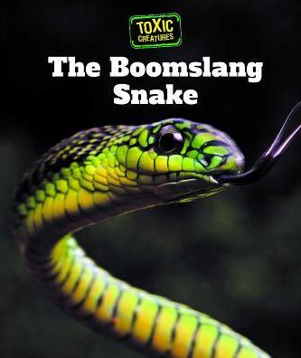 The Boomslang Snake