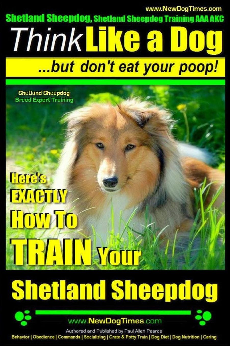 Shetland Sheepdog, Shetland Sheepdog Training AAA AKC: Think Like a Dog, but Don't Eat Your Poop! Shetland Sheepdog Breed Expert Training : Here's EXACTLY How to Train Your Shetland Sheepdog