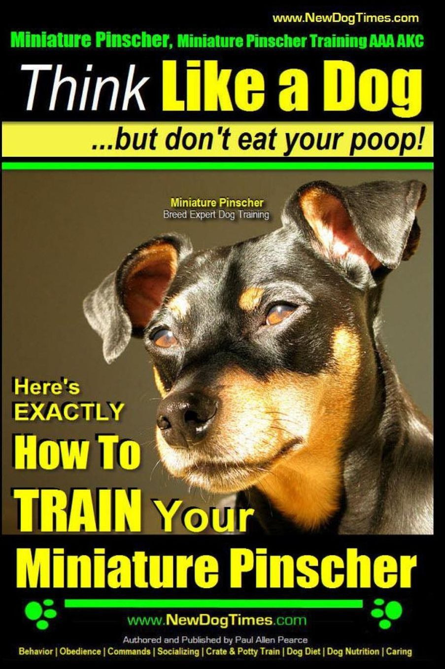 Miniature Pinscher, Miniature Pinscher Training AAA AKC Think Like a Dog ~ But Don't Eat Your Poop! Miniature Pinscher Breed Expert Training : Here's EXACTLY How to TRAIN Your Miniature Pinscher