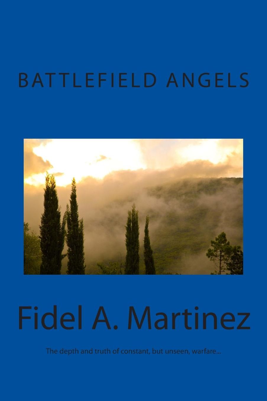 Battlefield Angels: What would you do if you saw Angels fighting on your behalf?