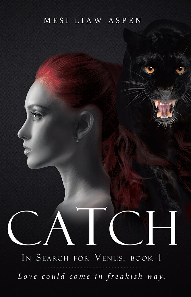 Catch: Book 1