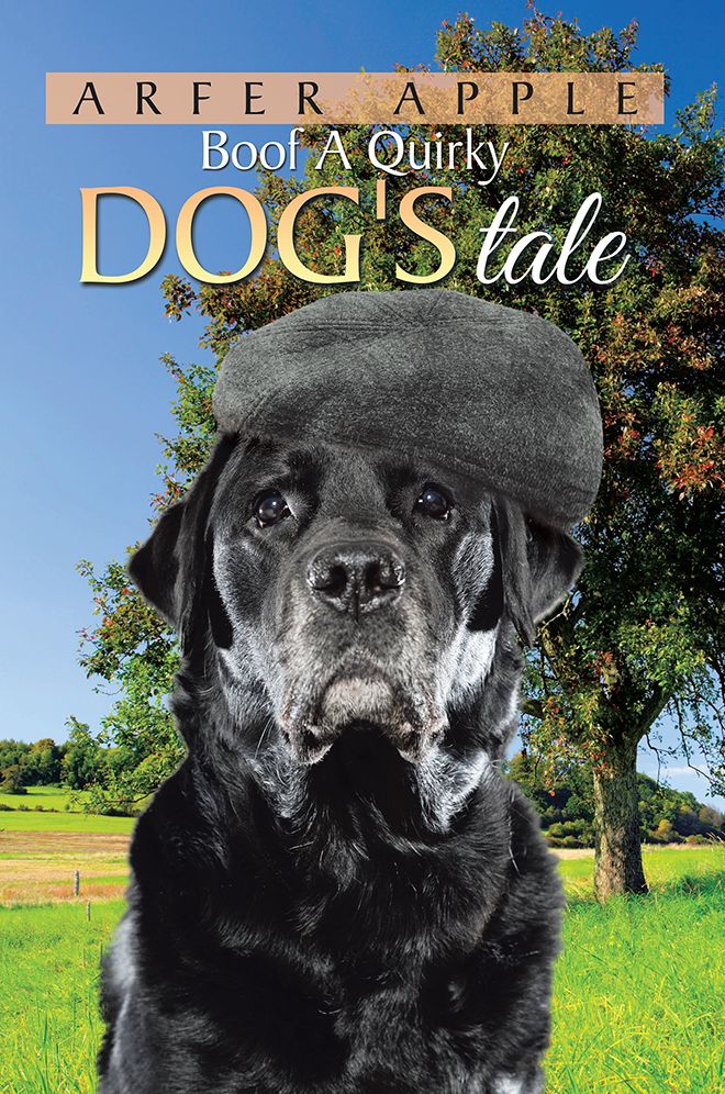 Boof A Quirky Dog's Tale