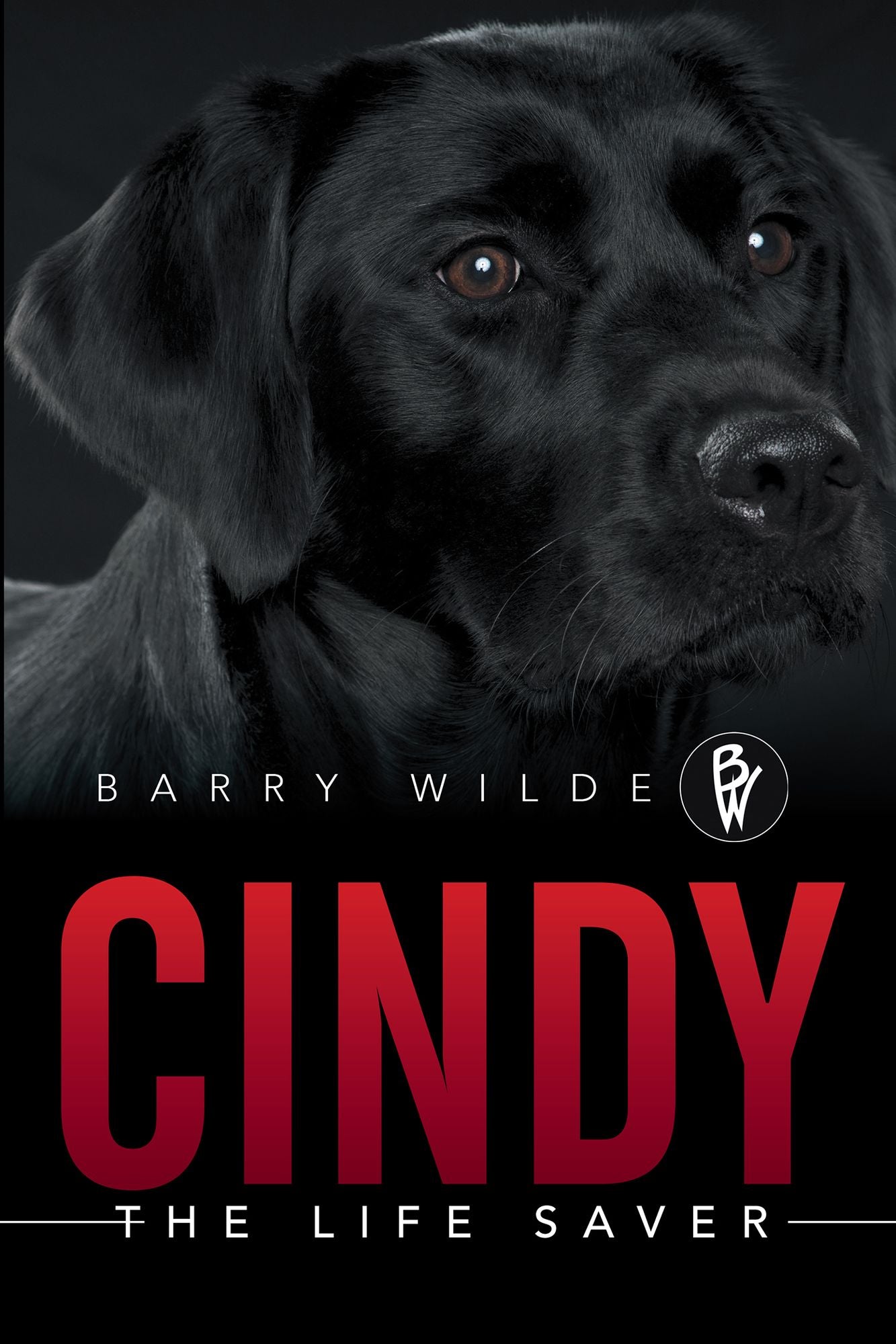 Cindy: The Life Saver