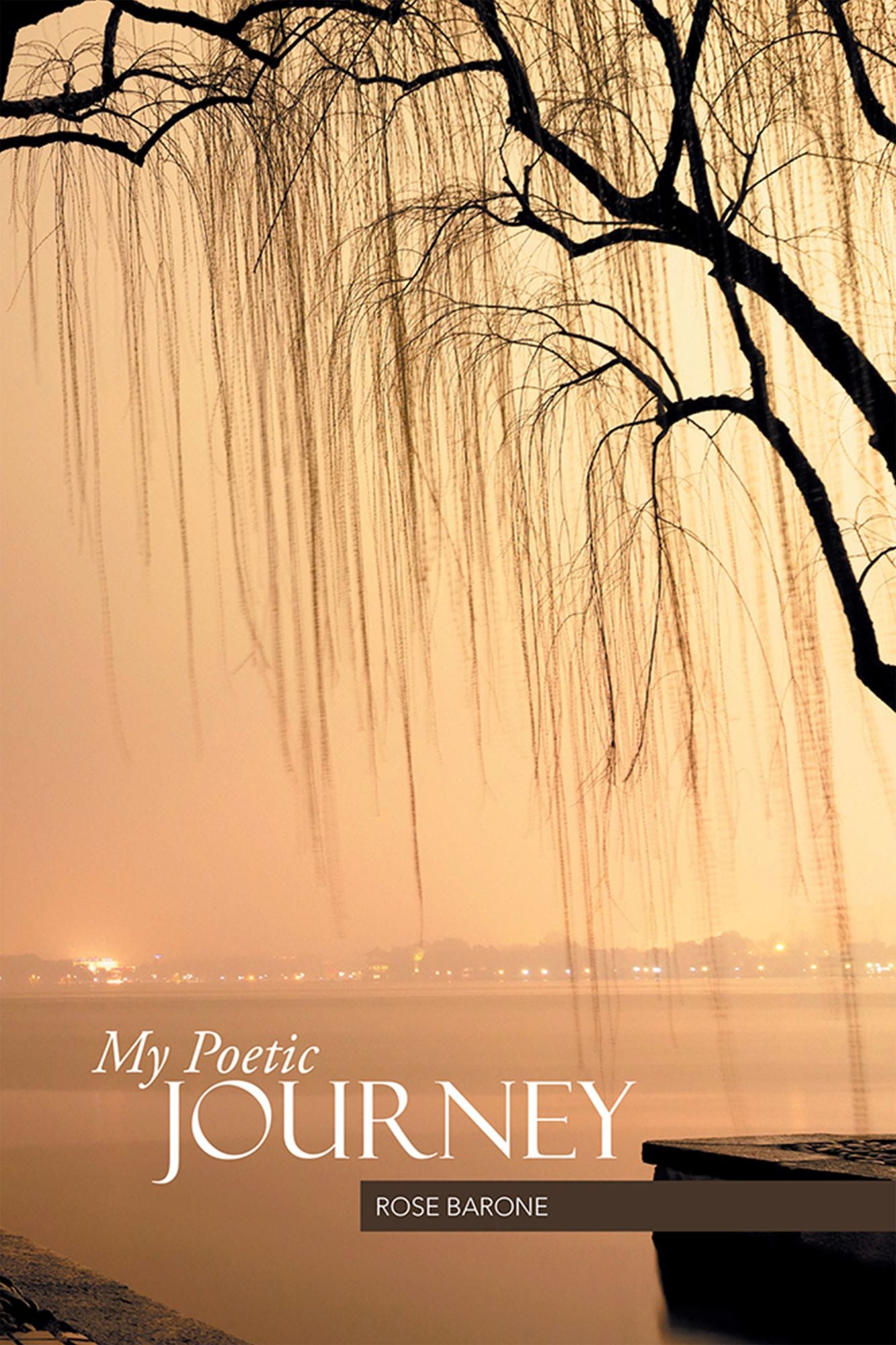 My Poetic Journey