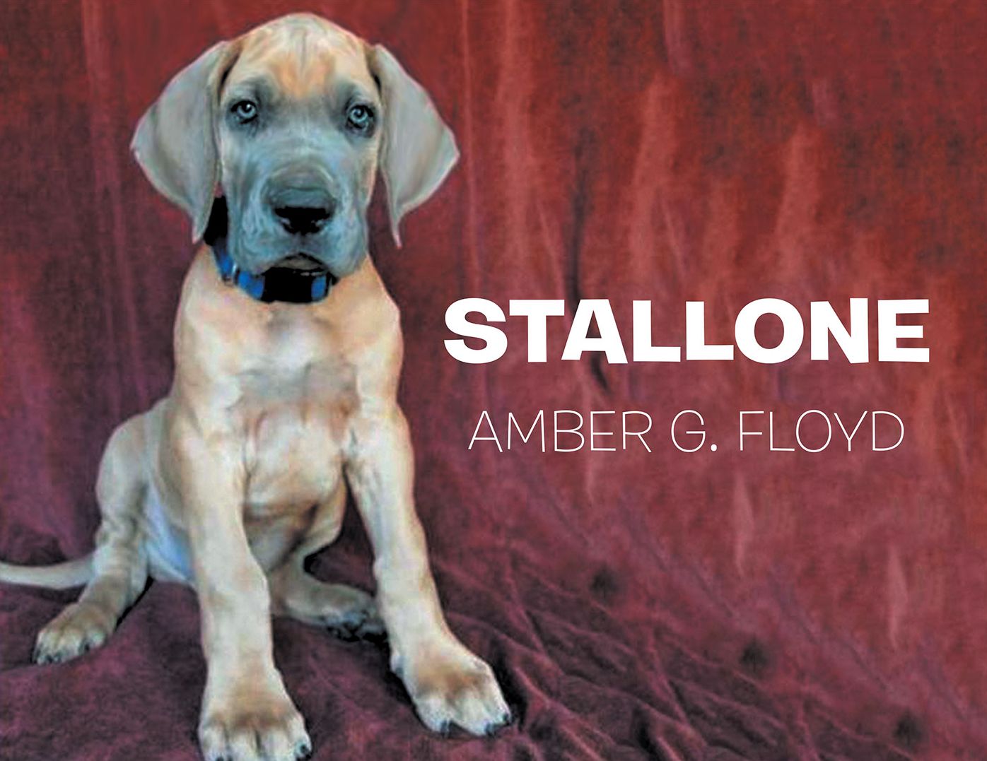 Stallone