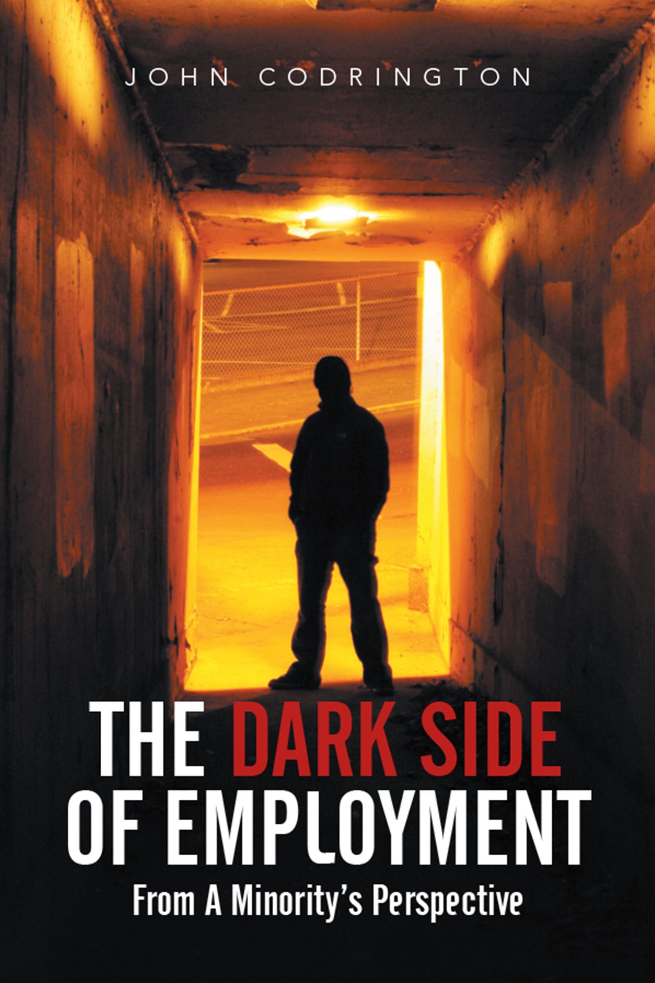 The Dark Side of Employment: From a Minority's Perspective