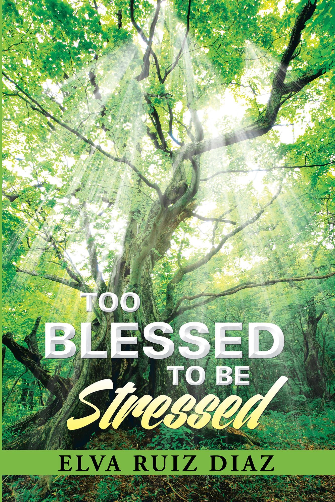 Too Blessed to be Stressed