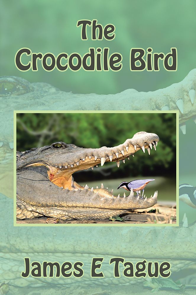 The Crocodile Bird