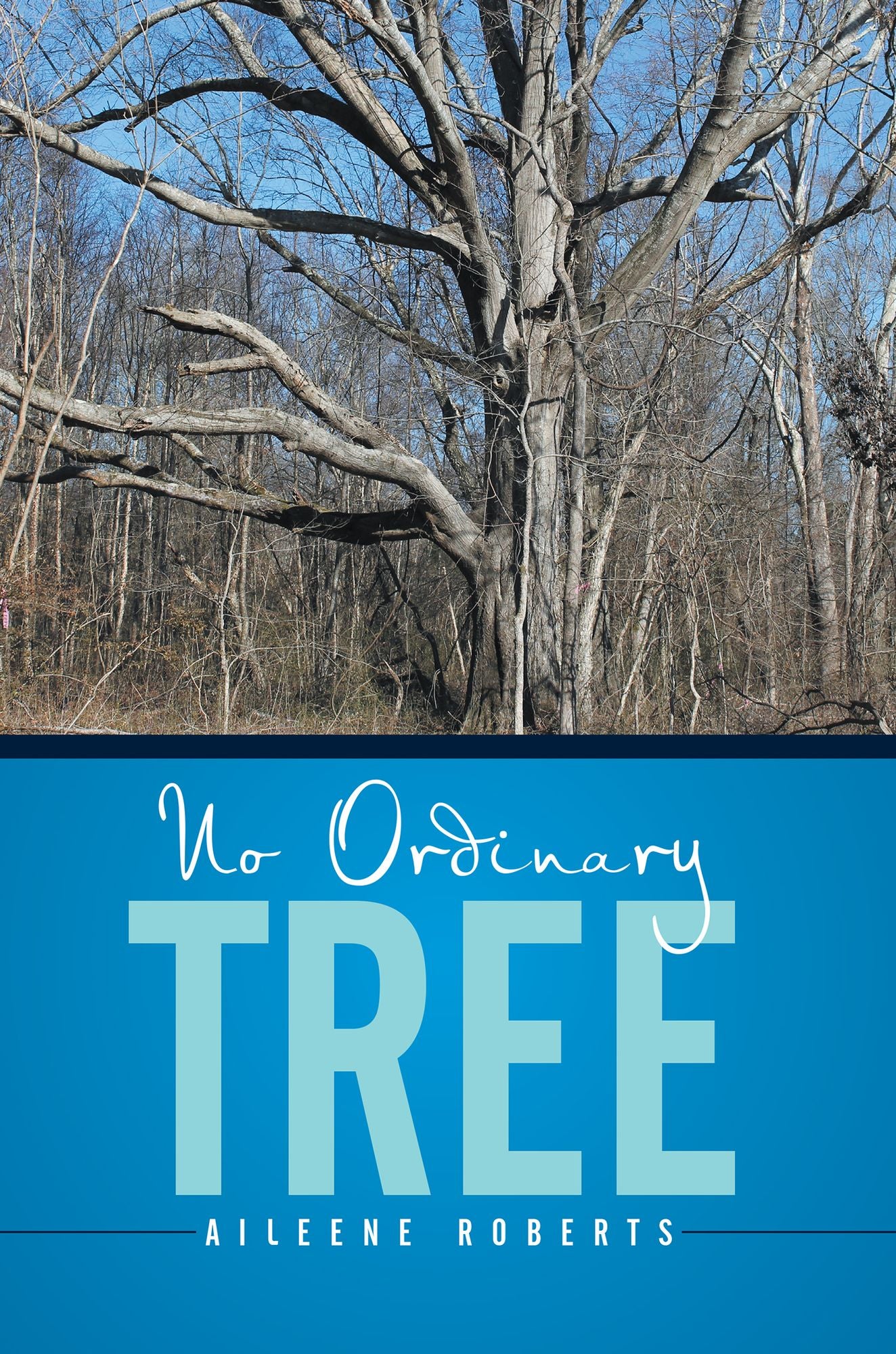 NO ORDINARY TREE