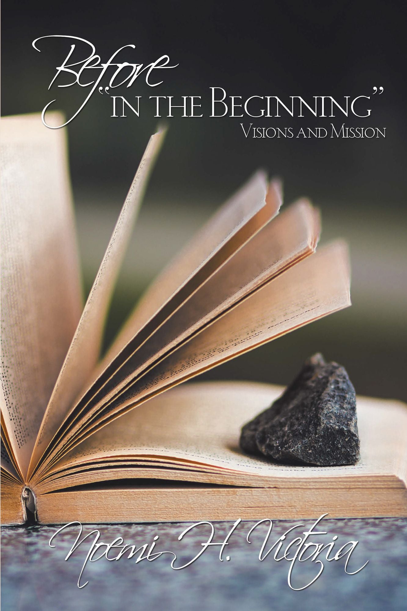 Before "In the Beginning": Visions and Mission