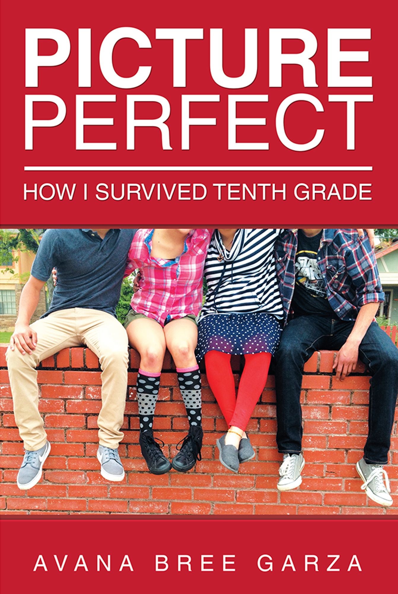 Picture Perfect: How I Survived Tenth Grade